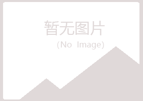 黄山黄山迷茫材料有限公司